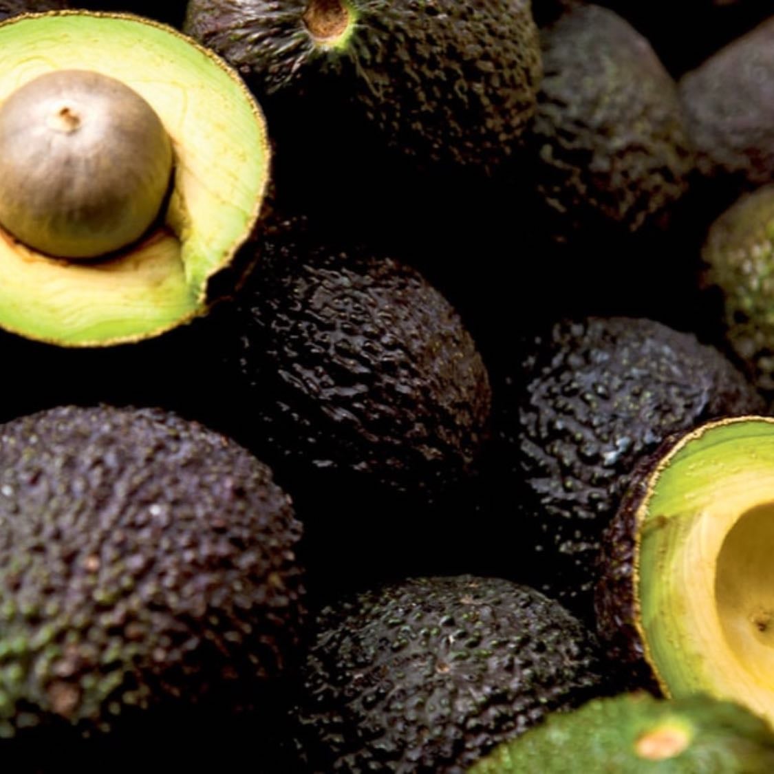 Aguacate