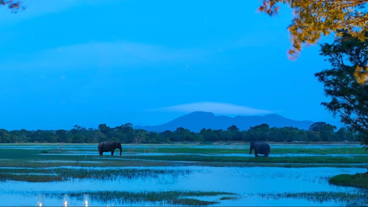 Sri Lanka