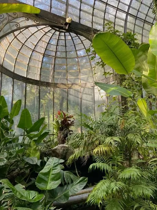 Jardín Botánico Carlos Thays