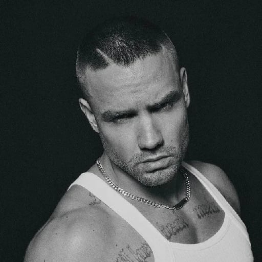 Liam Payne - Artist