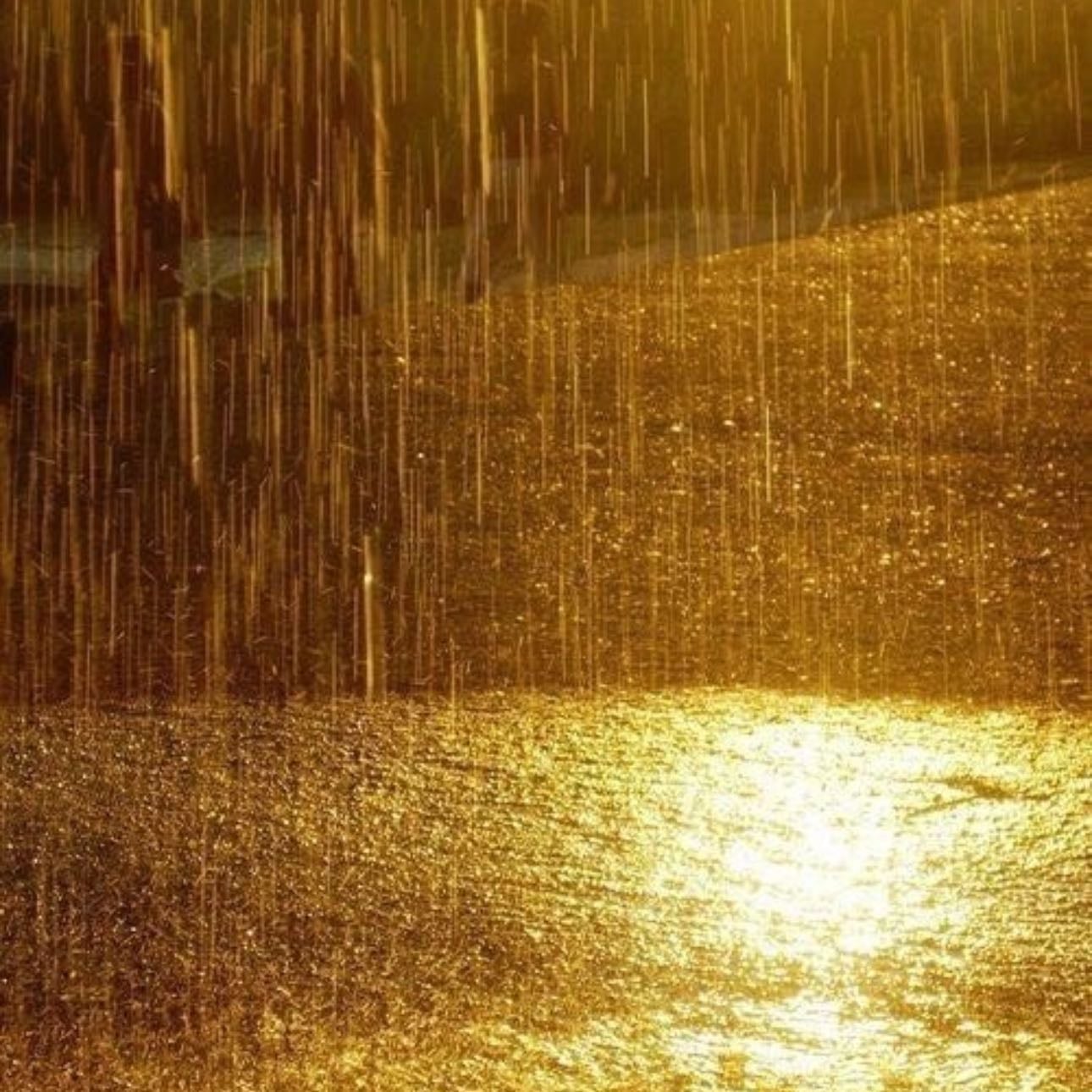 Lluvia + música + un libro muy bueno