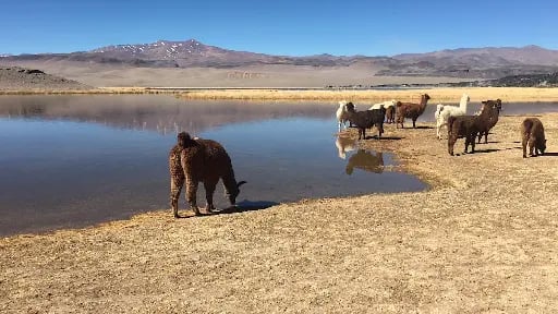 Catamarca