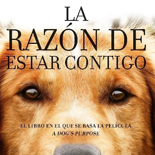 La razรณn de estar contigo ๐ถ