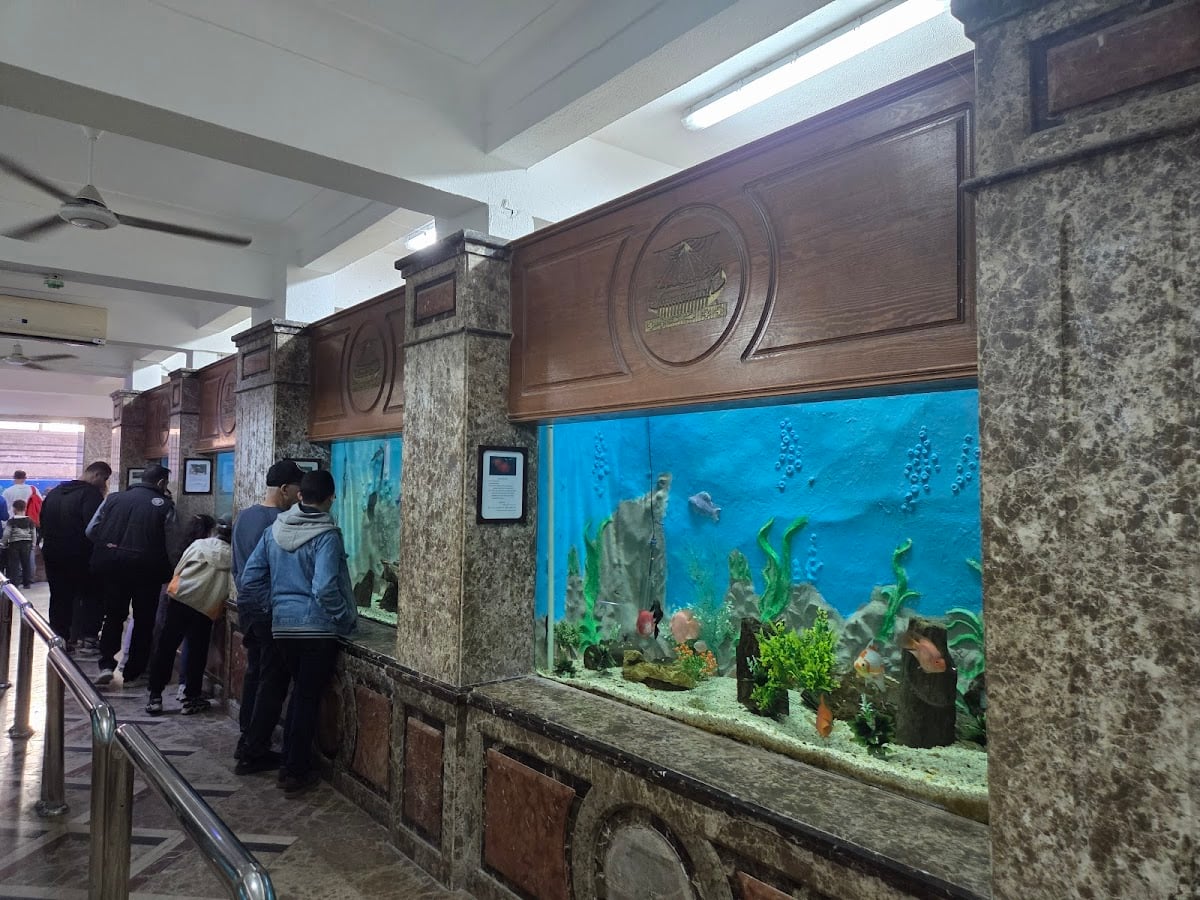 Alexandria Aquarium - Aquarium · Alexandria Governorate