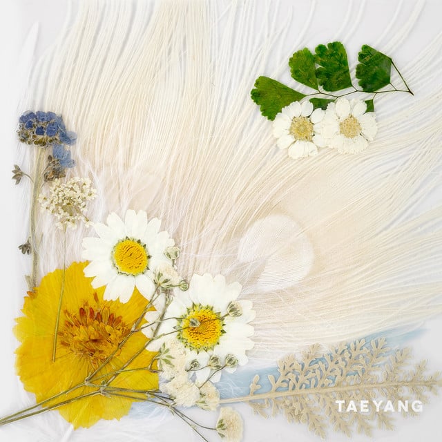 WHITE NIGHT - Album · TAEYANG