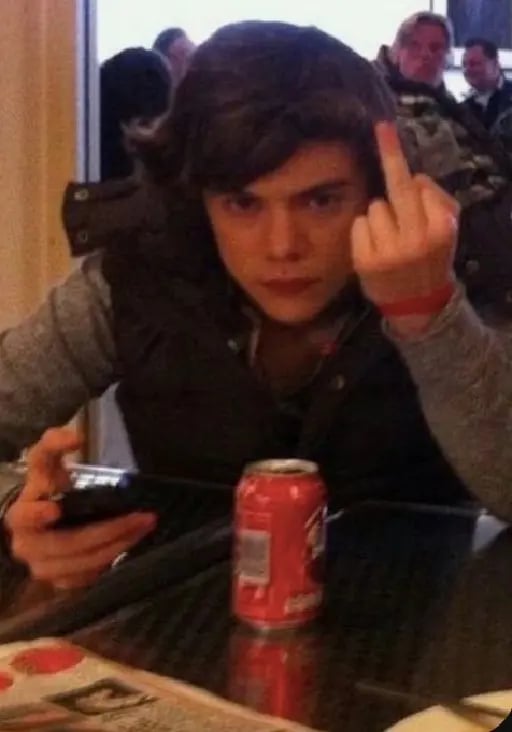 Harry styles - "WALLA WALLA WHATS UP!"