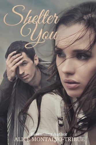 Shelter You - ALICE MONTALVO. TRIBUE · 2014