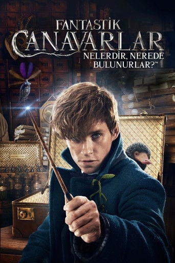 Fantastik Canavarlar Nelerdir, Nerede Bulunurlar? - David Yates · 2016