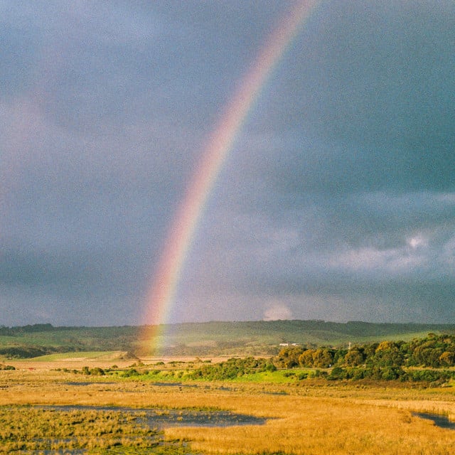 In the Sky - Album · Mallrat