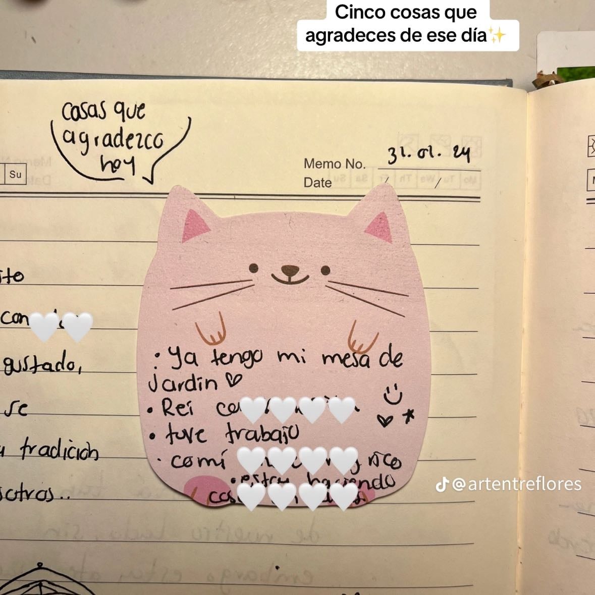 Agradecer - Anotar cosas por las que estoy agradecida todas las noches