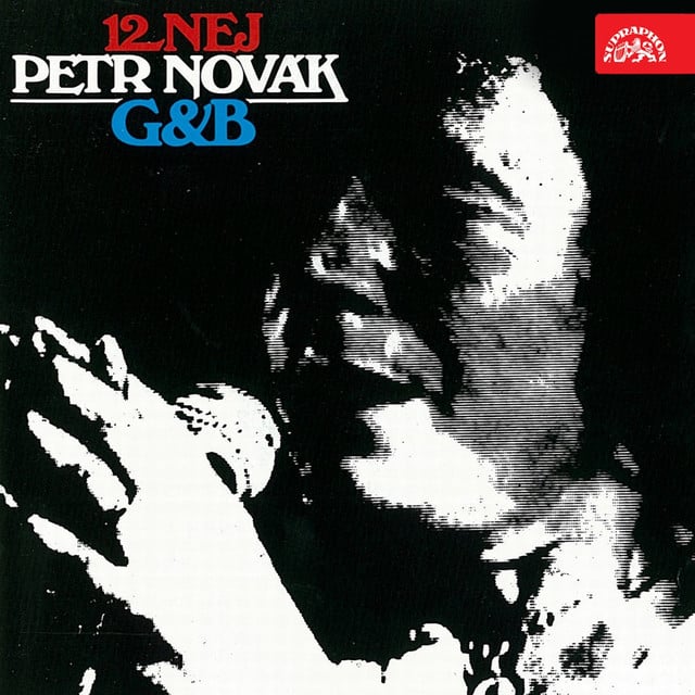 Já Budu Chodit Po Špičkách - Song · Petr Novak