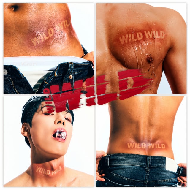Boiler Room - Song · WILD WILD