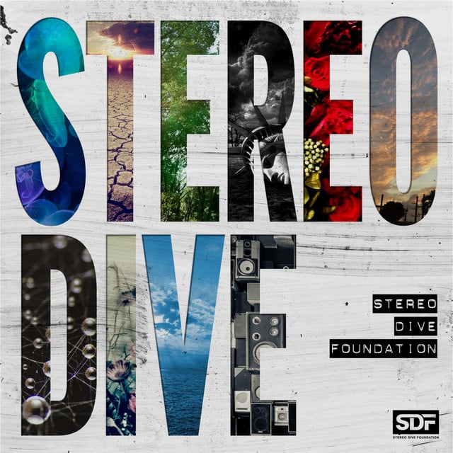 Daisy - Track · STEREO DIVE FOUNDATION
