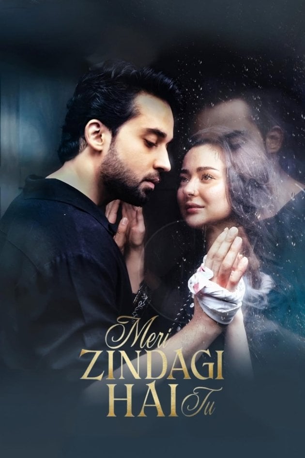 Meri Zindagi Hai Tu - Musaddiq Malek · 2025