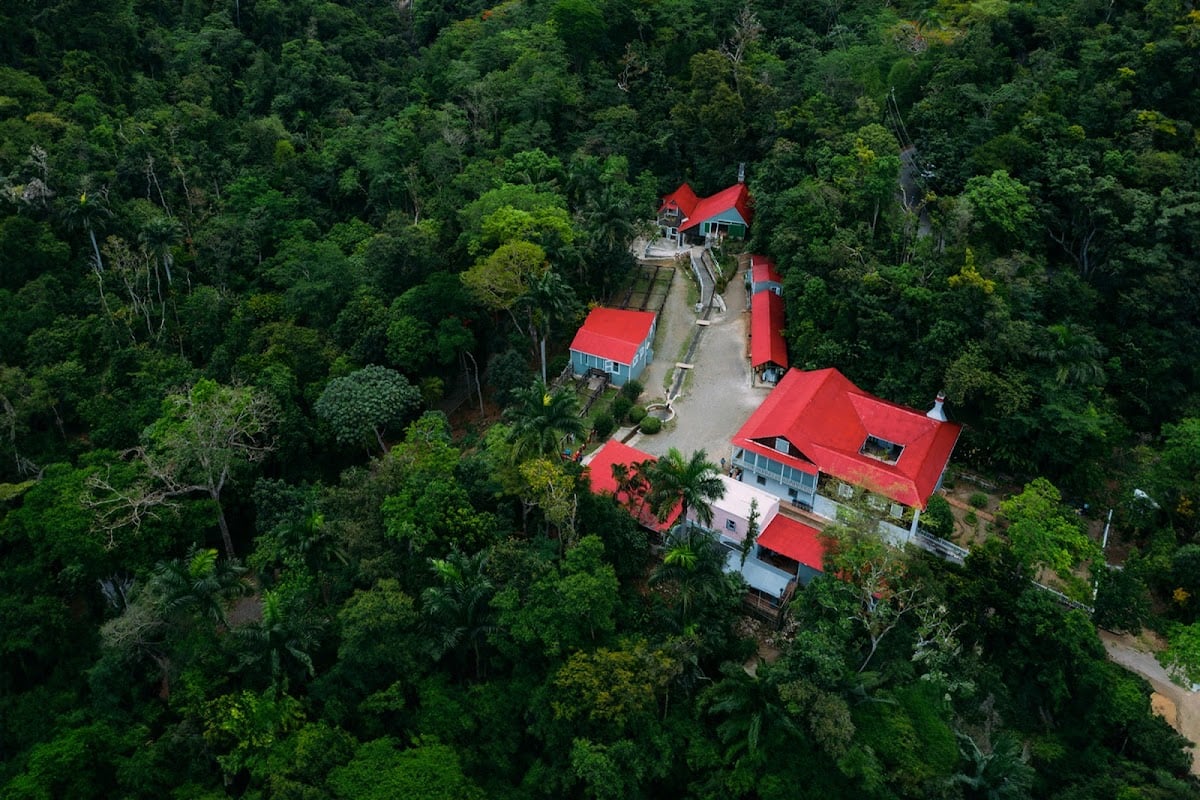 Hacienda Buena Vista - Plantação de café