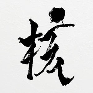 THE CORE - 核 - Album · XG