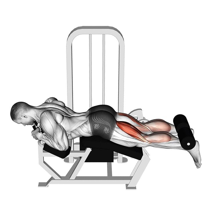 3/15 - Femoral acostado