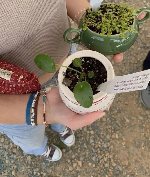 Jardinería