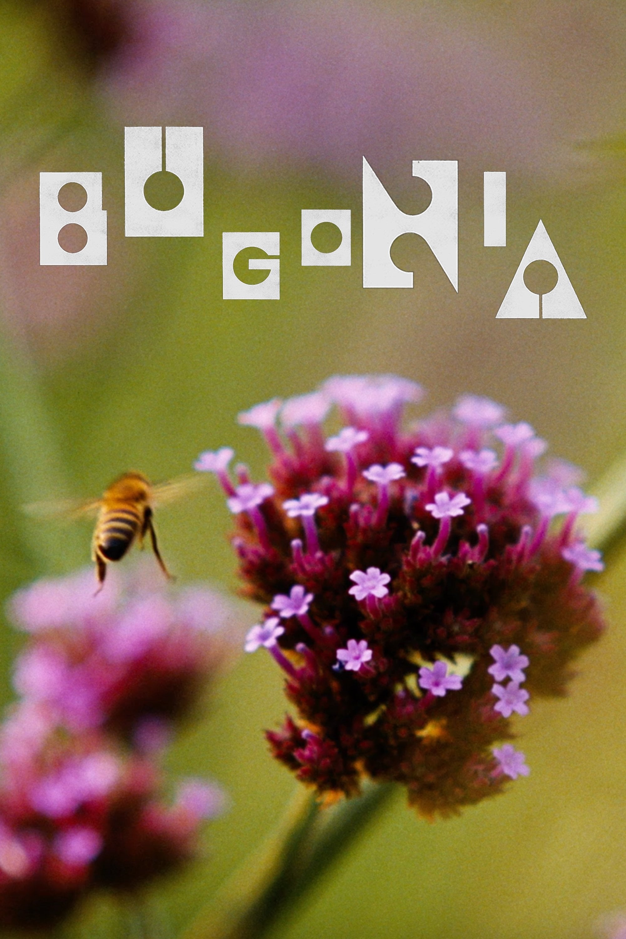 Bugonia - Yorgos Lanthimos · 2025