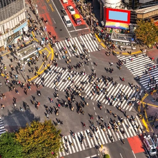 Shibuya Scramble Crossing