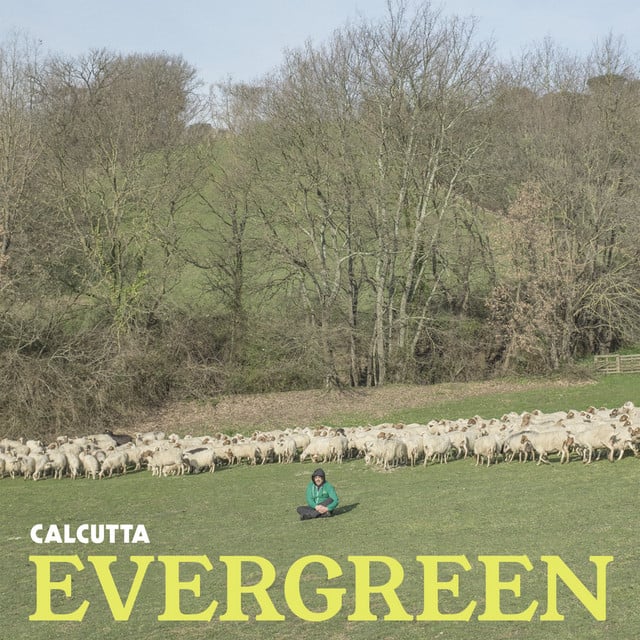 Paracetamolo - Song · Calcutta