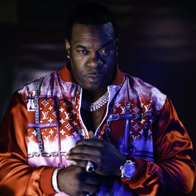 Busta Rhymes - Artist