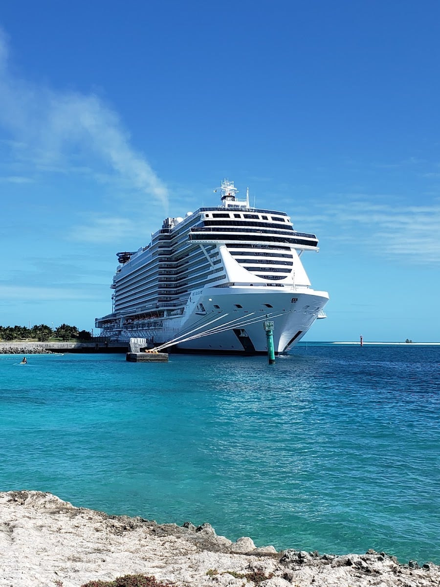 Cruise Terminal AA - PortMiami - MSC Cruise Line