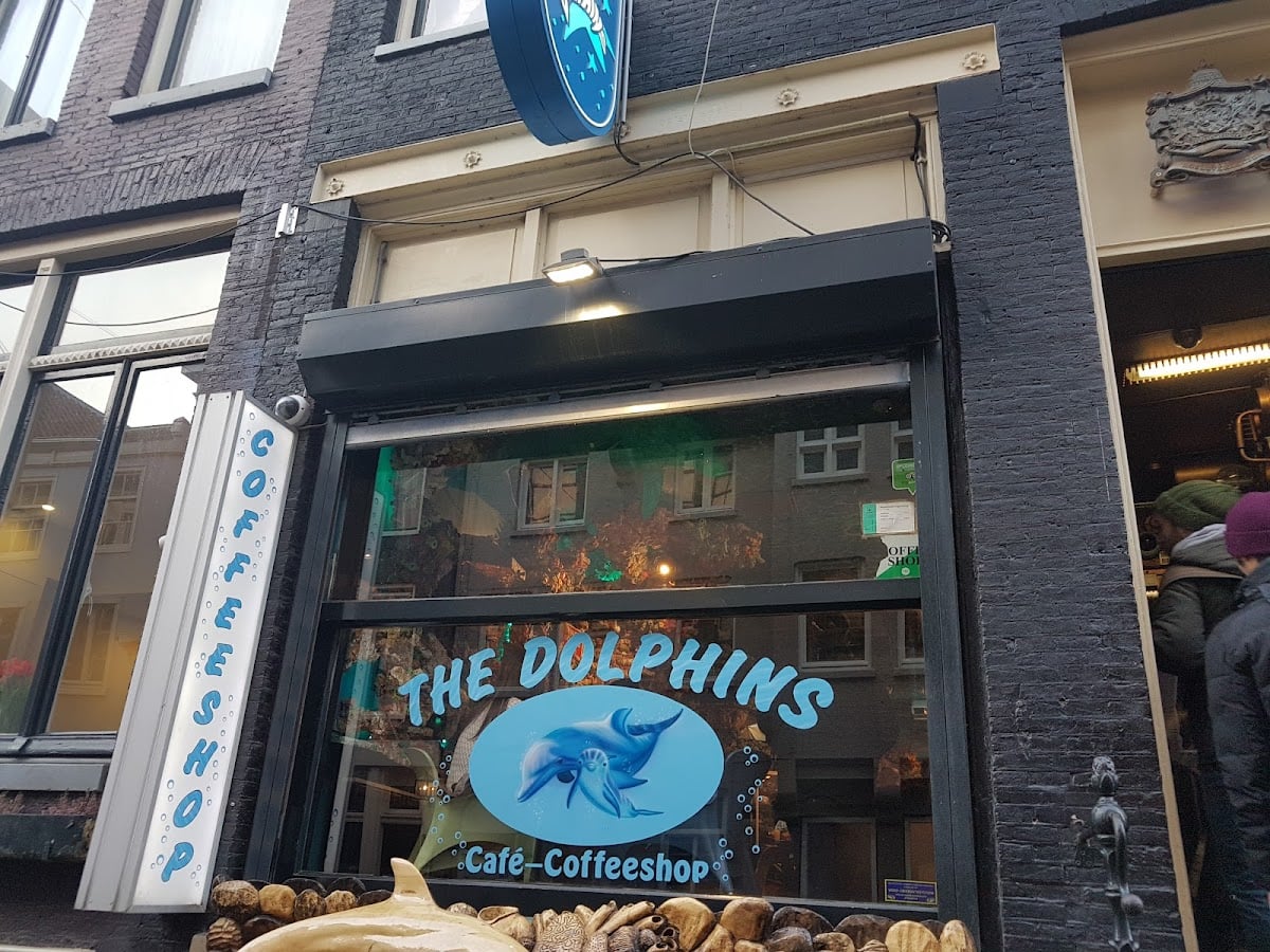 Coffeeshop The Dolphins Amsterdam