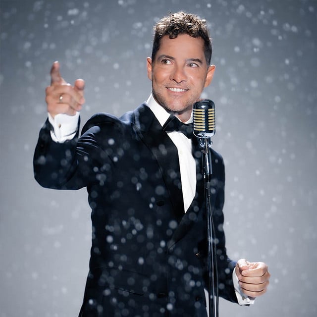 David Bisbal - Artist