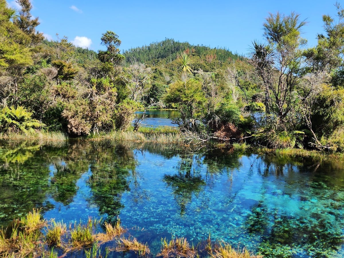 Te Waikoropupu Springs