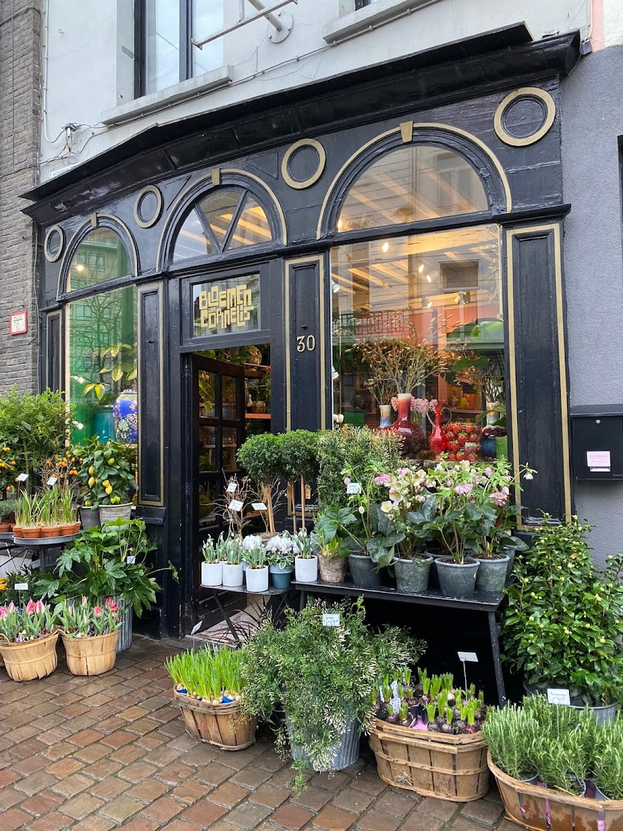 Bloemen van Cornelis