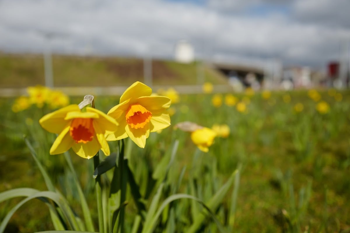 Park Spoor Noord