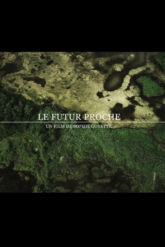 The Near Future - Sophie Goyette · 2012