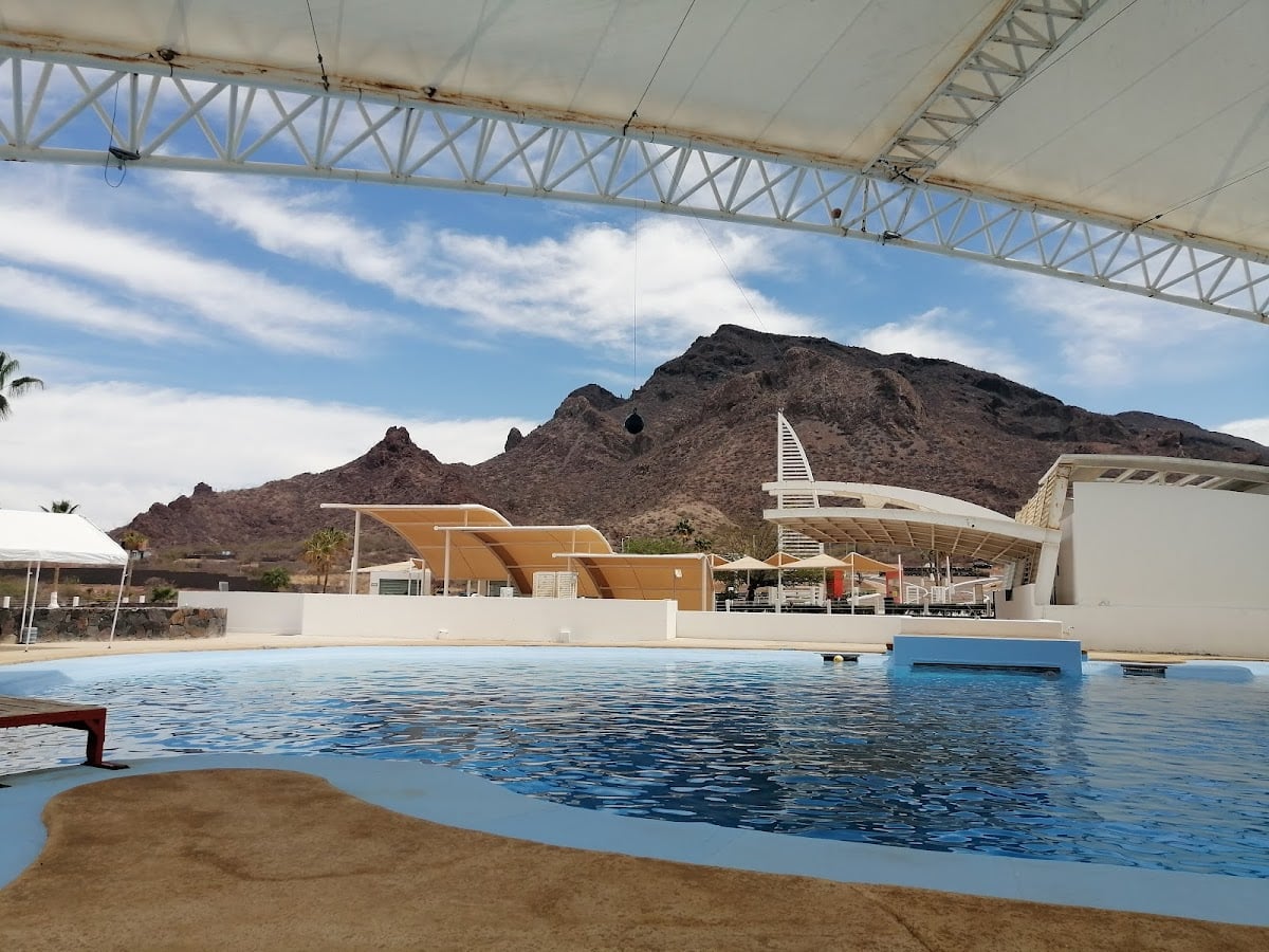 Delfinario Sonora