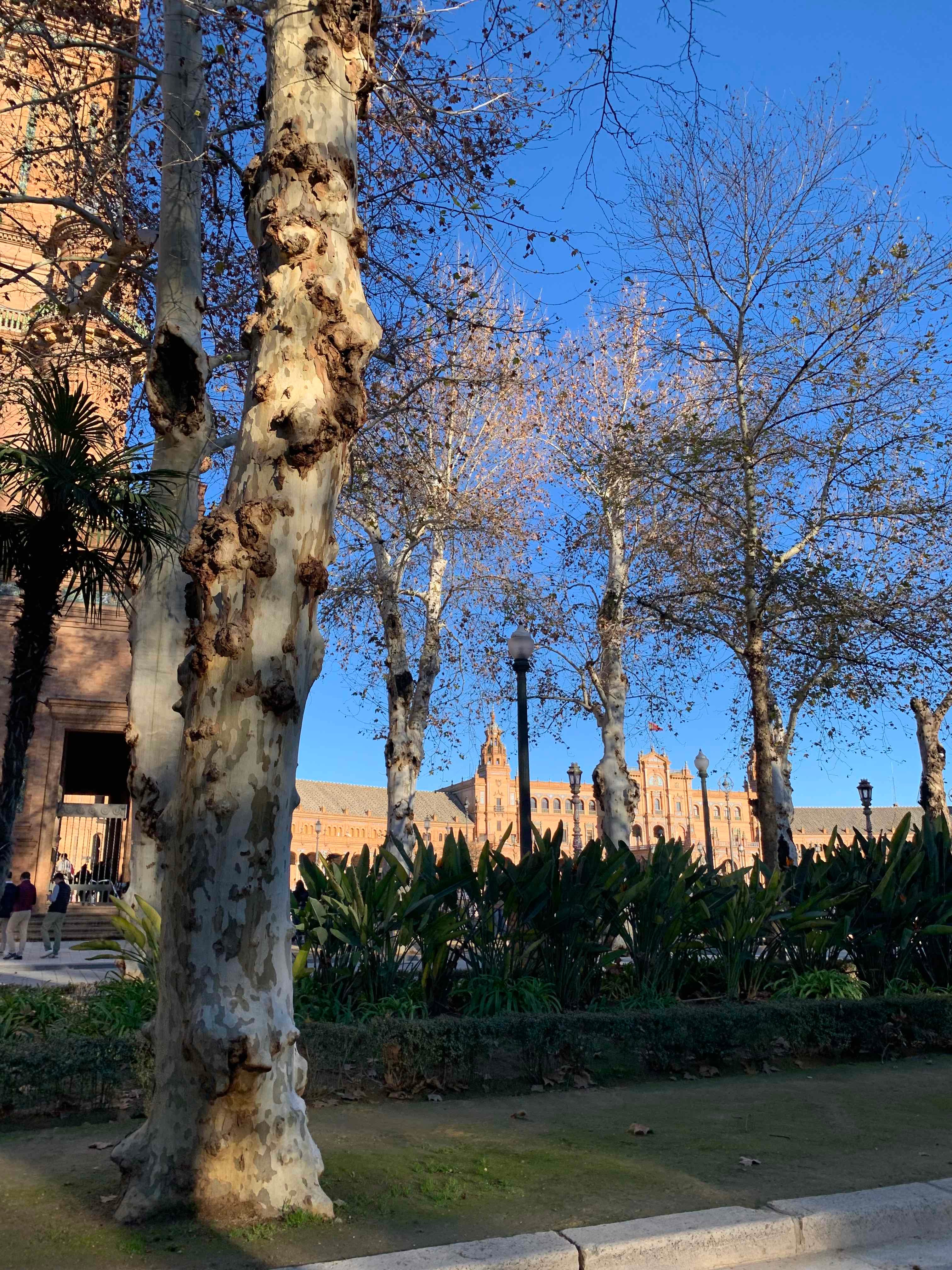 Parque de María Luisa