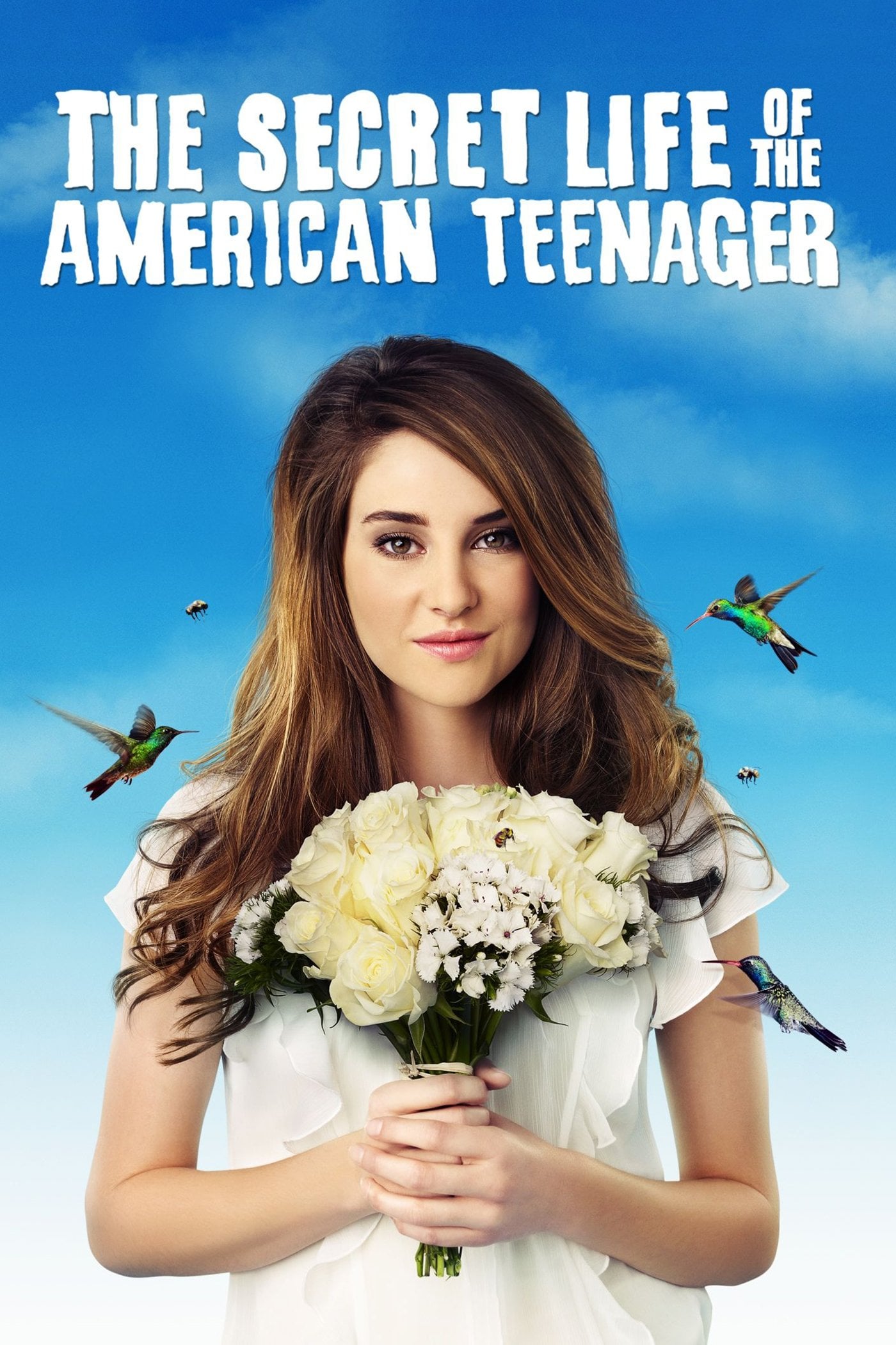 The Secret Life of the American Teenager - Brenda Hampton · 2008