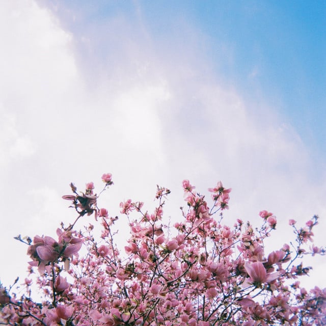 good days - Album · keshi