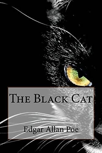 The Black Cat Edgar Allan Poe - Edgar Allan Poe · 2016