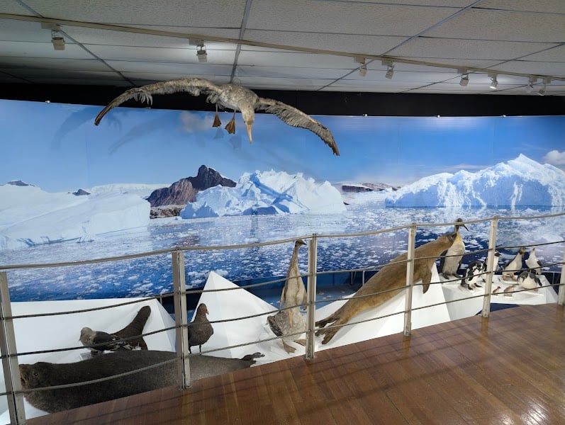 Museo Maggiorino Borgatello