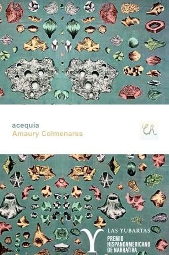 Acequia - Amaury Colmenares · 2024