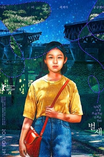 Casa de Beija-Flor - Kim Bora · 2019