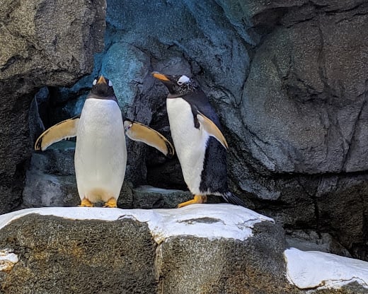 Calgary Zoo