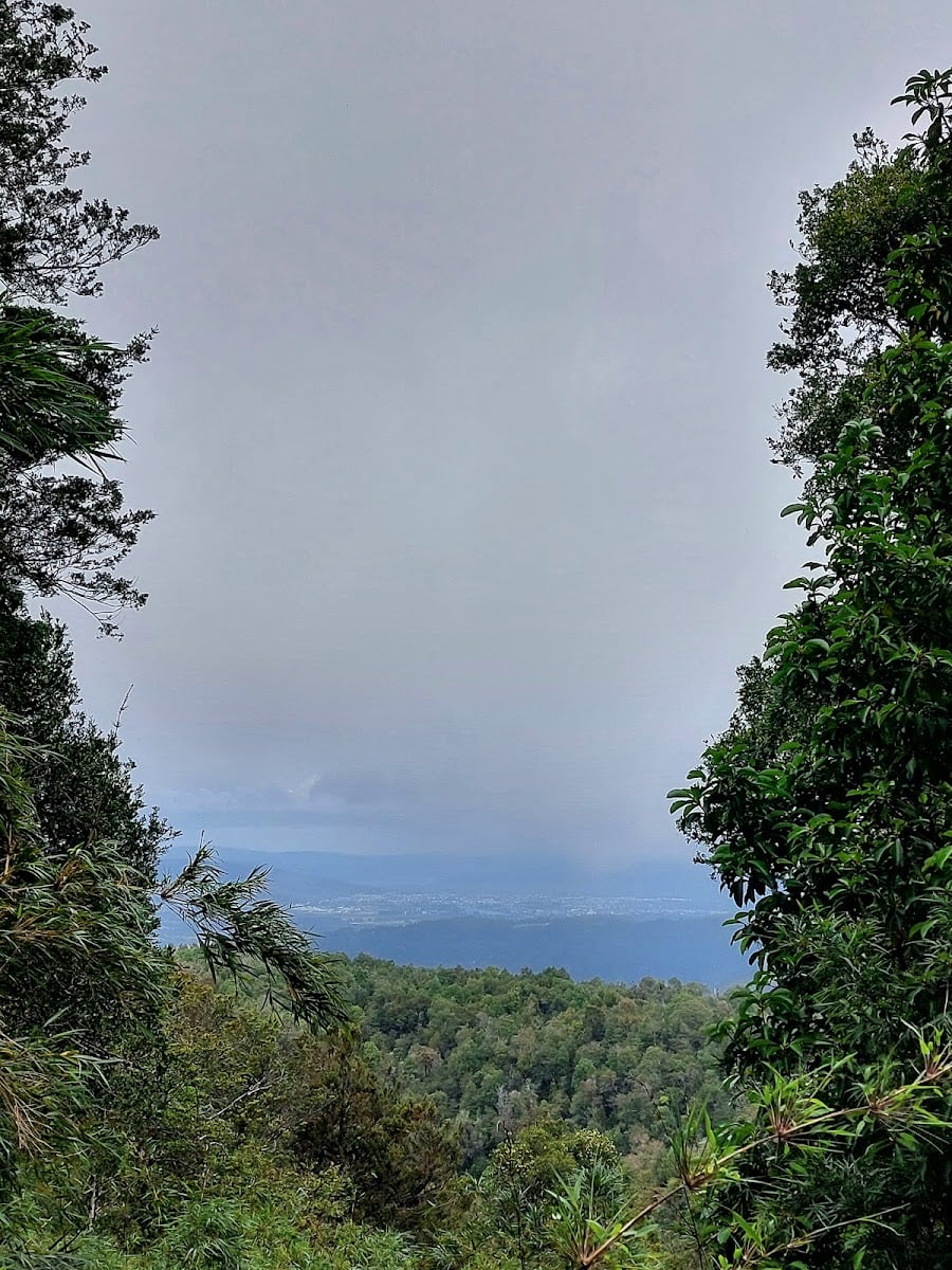 Sendero Parque Oncol