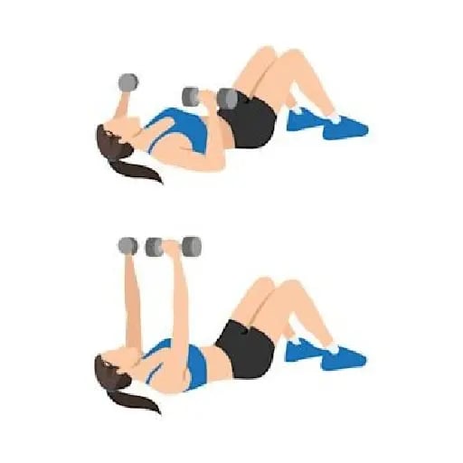 chest press pulse - 1 min