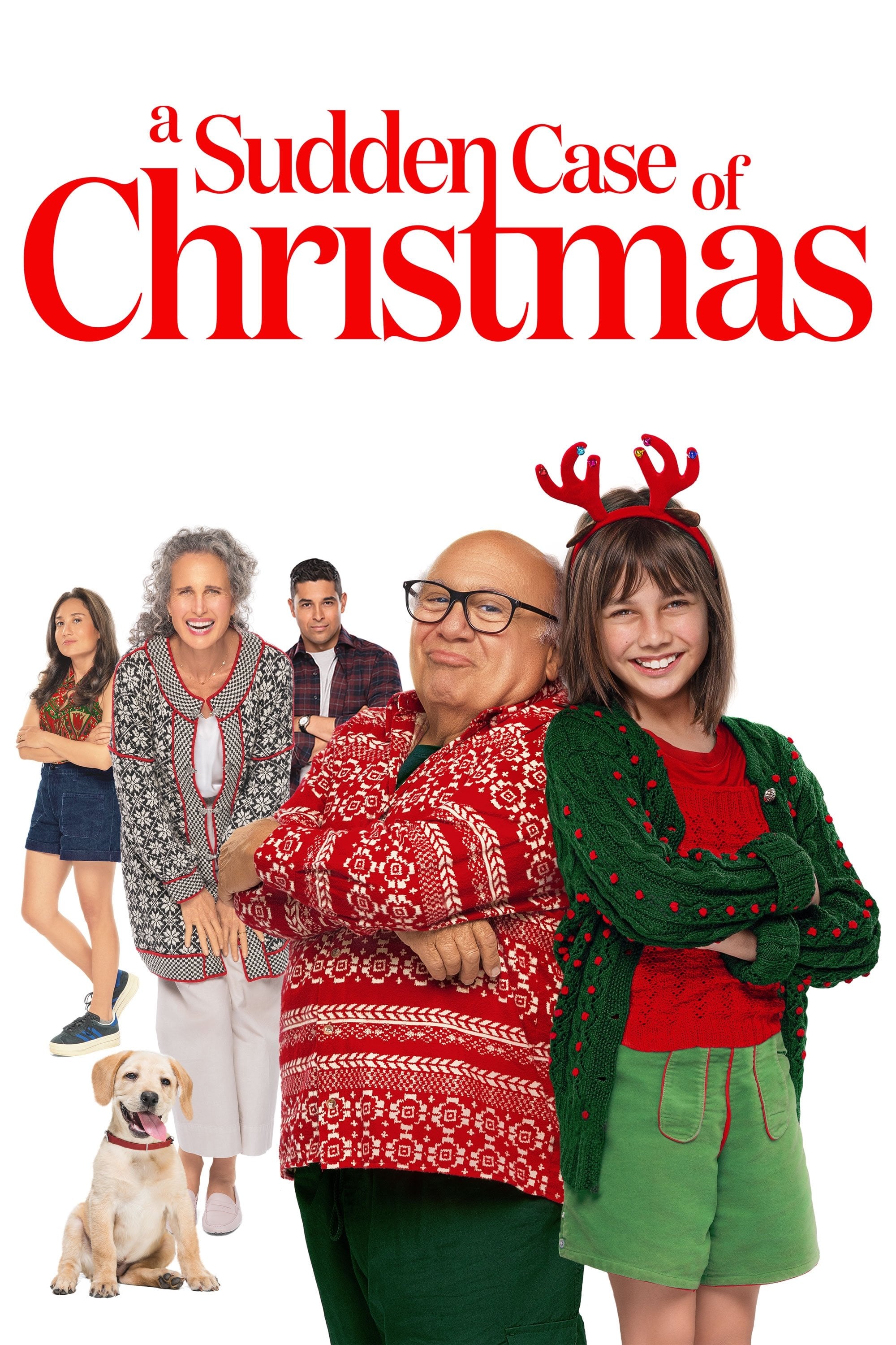 A Sudden Case of Christmas - Peter Chelsom · 2024