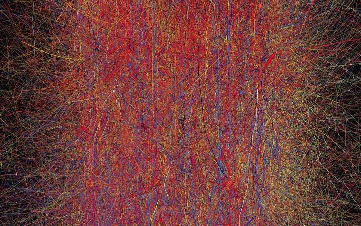 Will we ever get our heads round consciousness? | Aeon Essays - Aeon