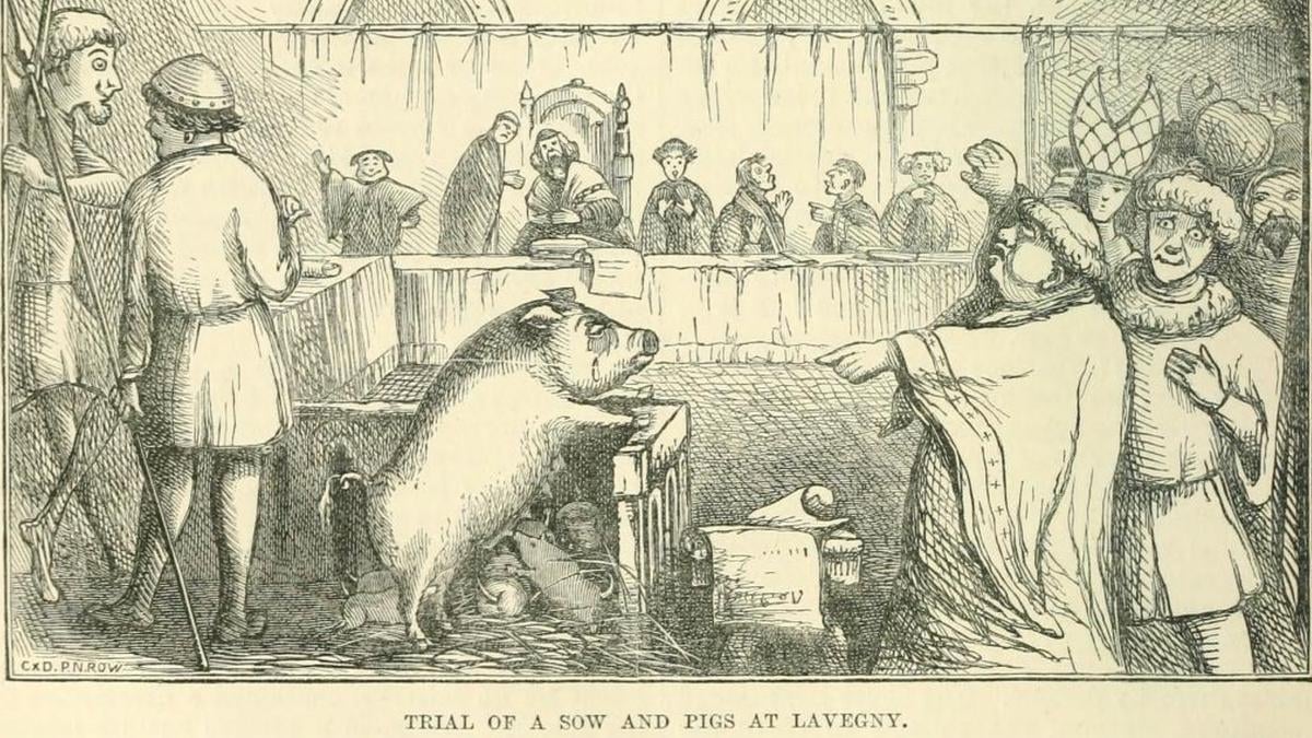 If animals are persons, should they bear criminal responsibility? | Psyche Ideas - Psyche