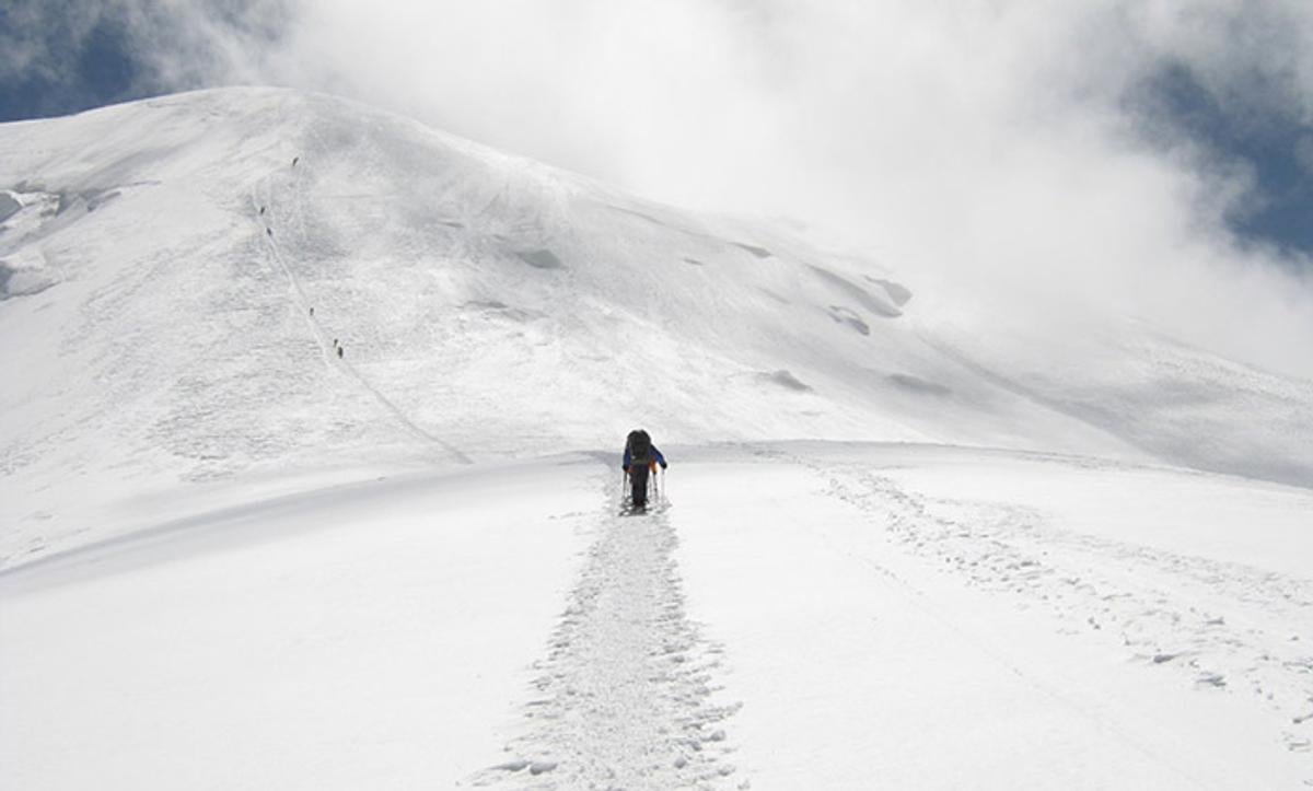 Psychology’s five revelations for finding your true calling | Aeon Ideas - Aeon