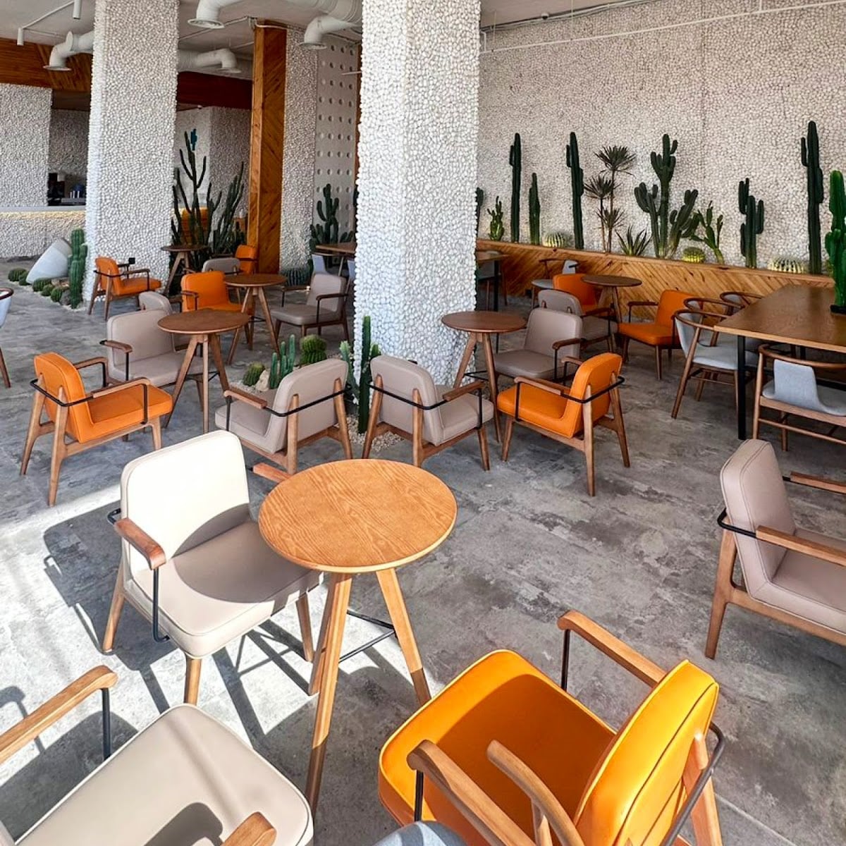 Cacti cafe | كاكتي