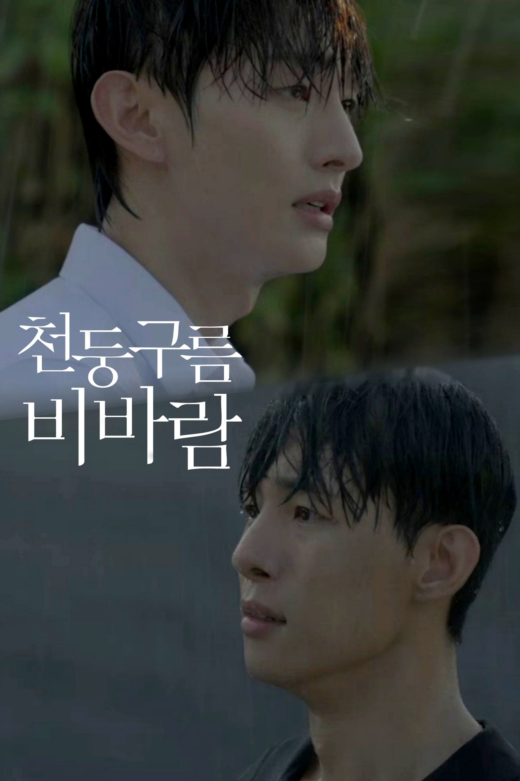 Thundercloud Rainstorm - 체심 · 2025
